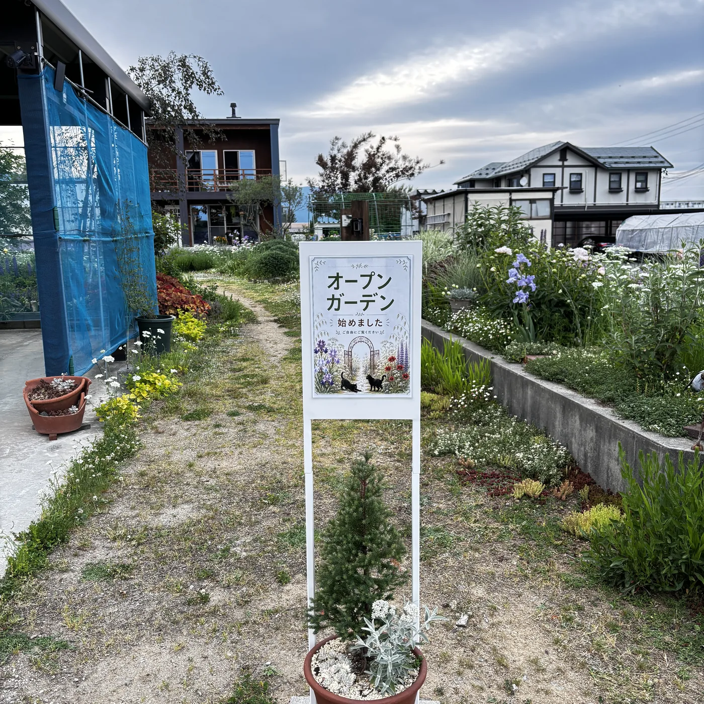 庭の入り口から見た看板の表。門と猫2匹の絵