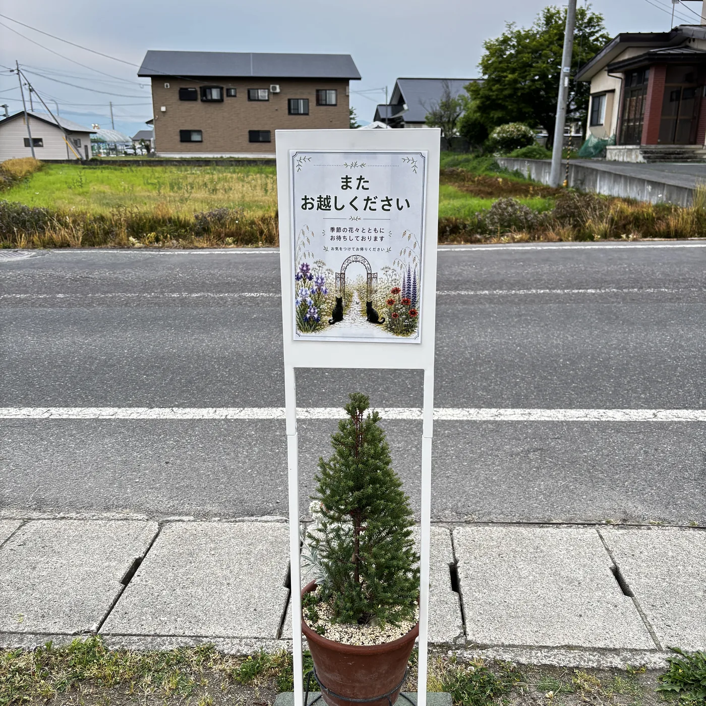 道路を向いた看板の裏。同じ猫2匹が背を向けて座っている