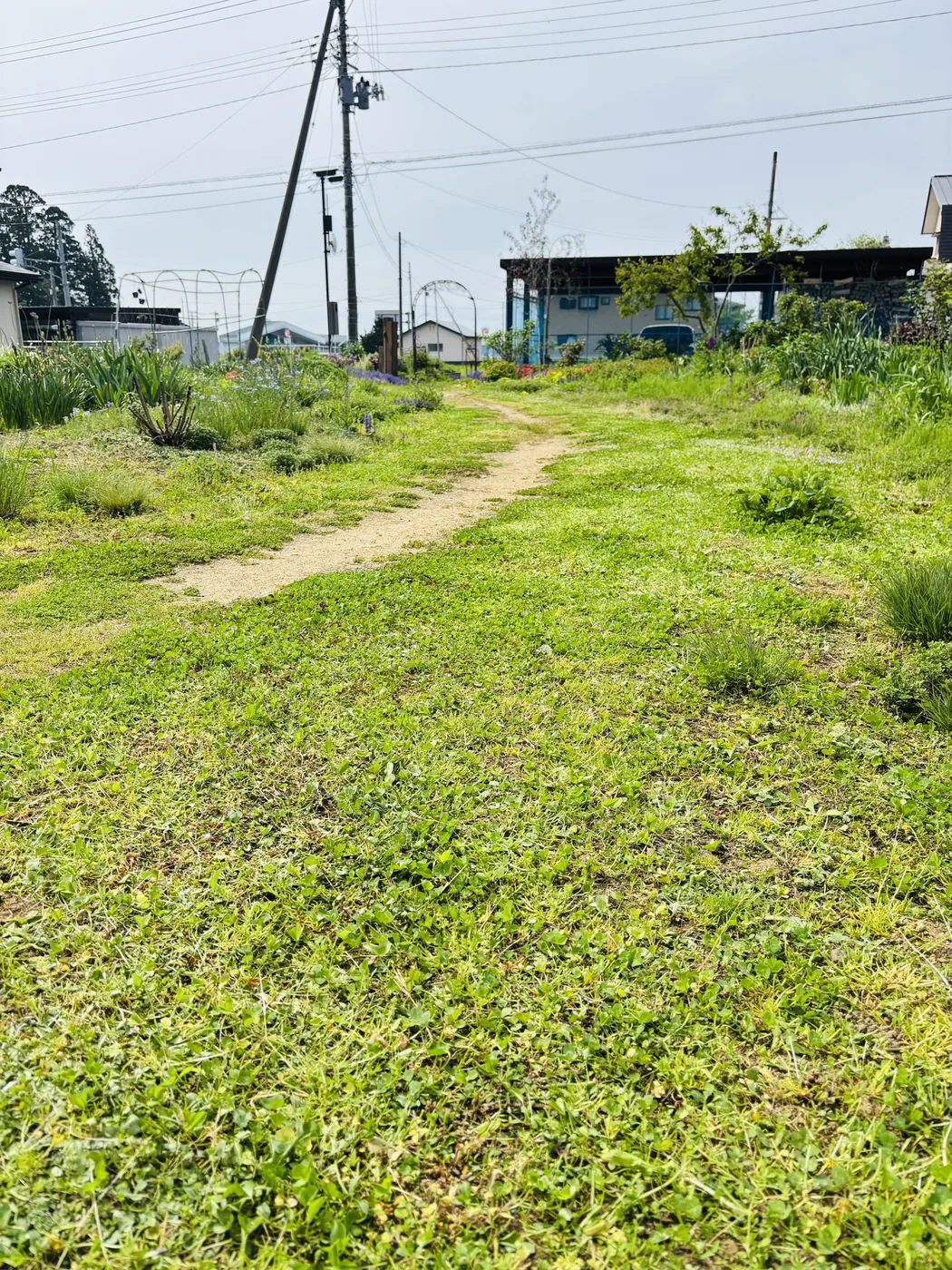 芝刈り機で刈ったあとの庭の小道